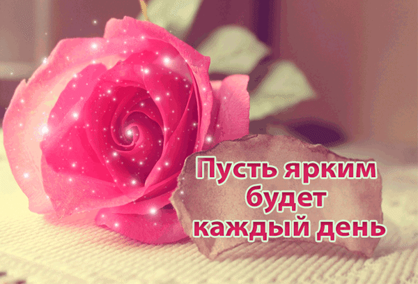 gallery gallery