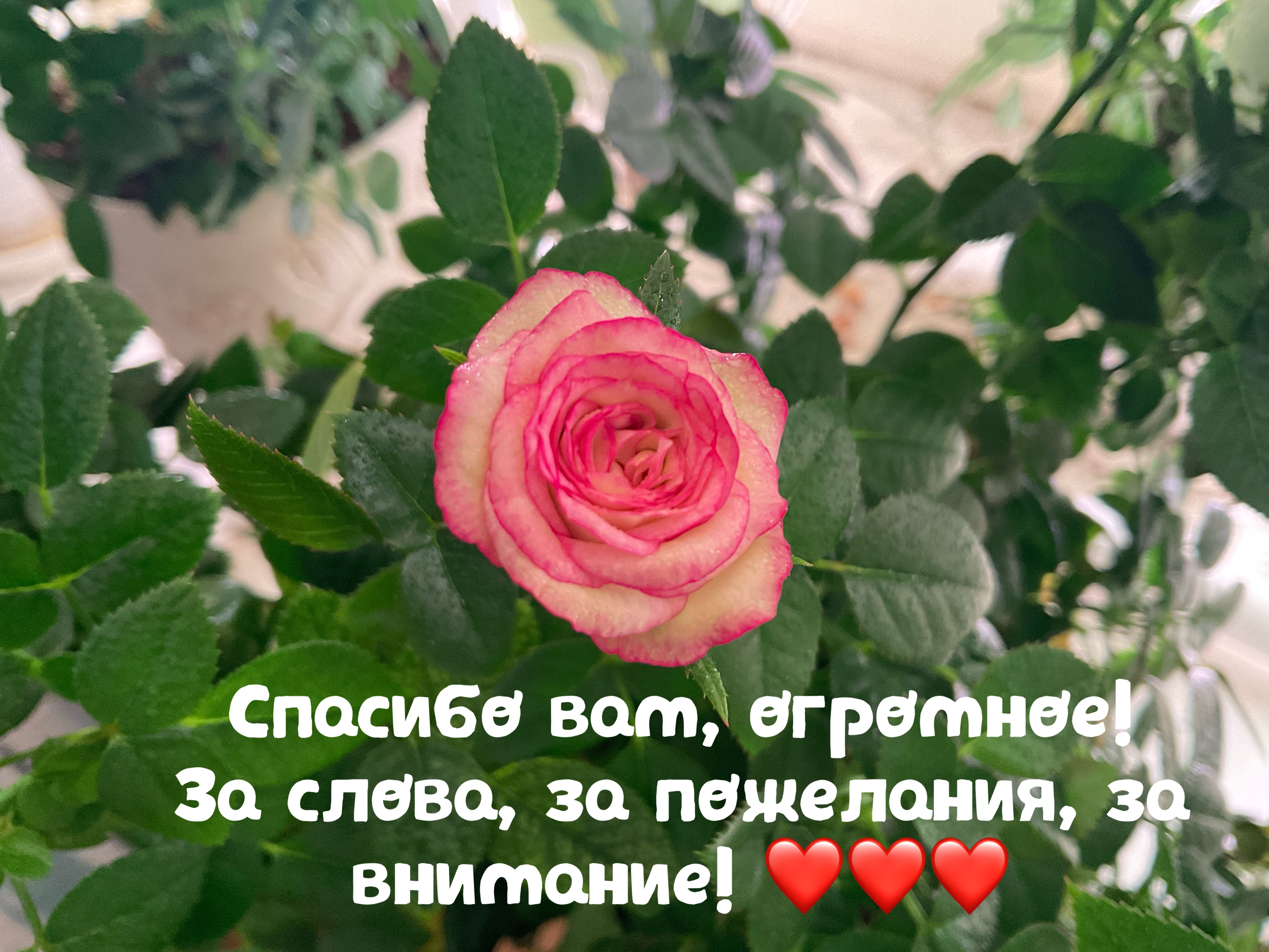 https://upforme.ru/uploads/0019/3c/8c/3/442780.jpg