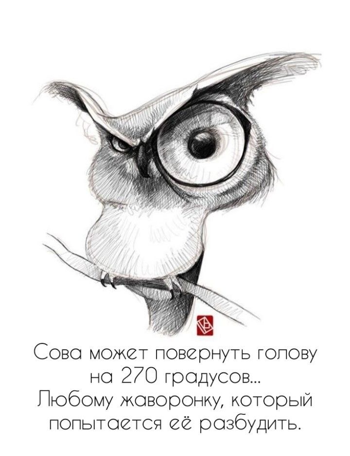 https://upforme.ru/uploads/0019/3c/8c/3/501736.jpg