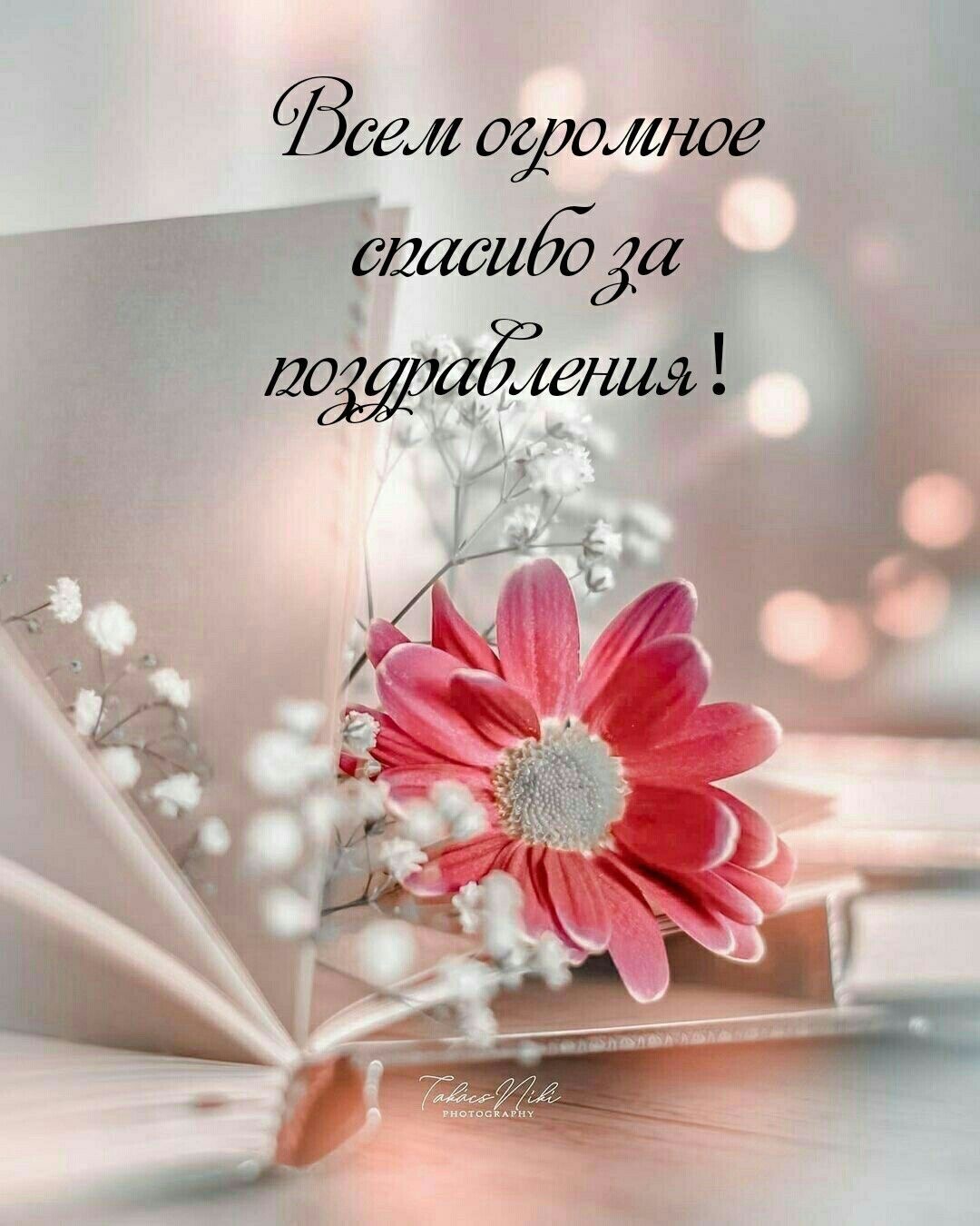https://upforme.ru/uploads/0019/3c/8c/3/554454.jpg