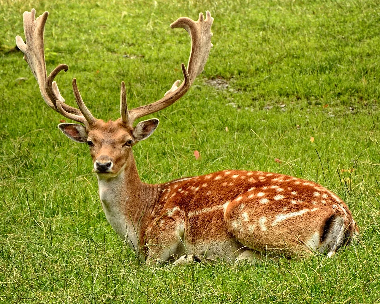  169