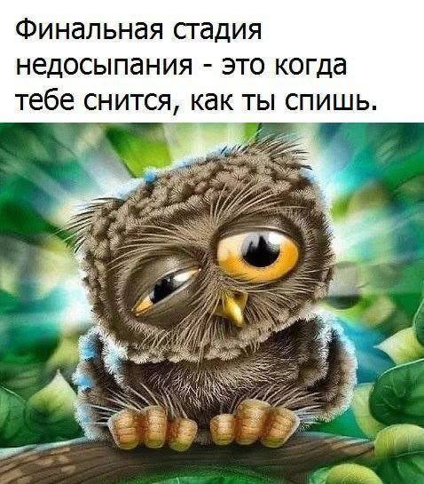 https://upforme.ru/uploads/0019/3c/8c/3/642623.jpg