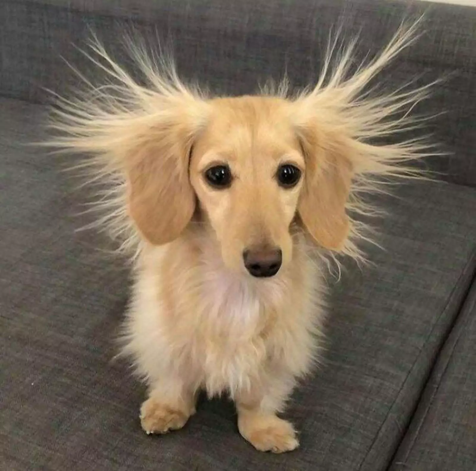  )