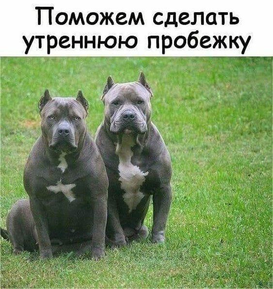 https://upforme.ru/uploads/0019/3c/8c/3/892452.jpg