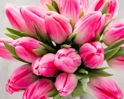 https://upforme.ru/uploads/0019/3c/8c/3163/101015.webp