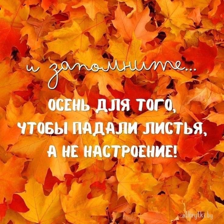 https://upforme.ru/uploads/0019/3c/8c/3163/112280.jpg