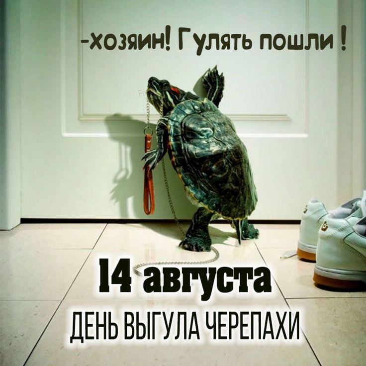 https://upforme.ru/uploads/0019/3c/8c/3163/205231.jpg