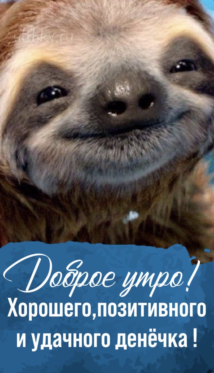 https://upforme.ru/uploads/0019/3c/8c/3163/246490.jpg