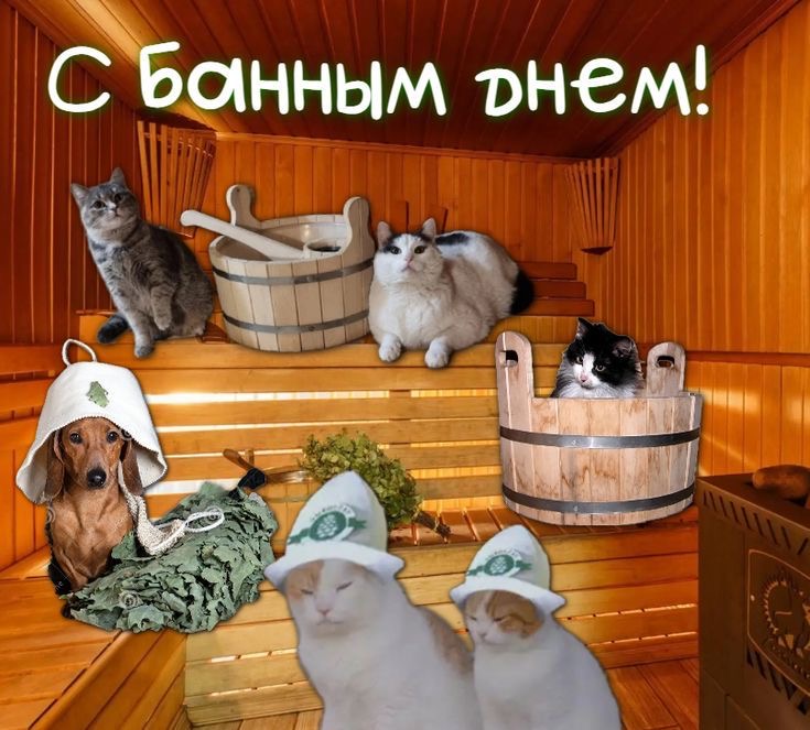 https://upforme.ru/uploads/0019/3c/8c/3163/279526.jpg
