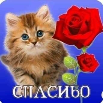 https://upforme.ru/uploads/0019/3c/8c/3163/346169.jpg