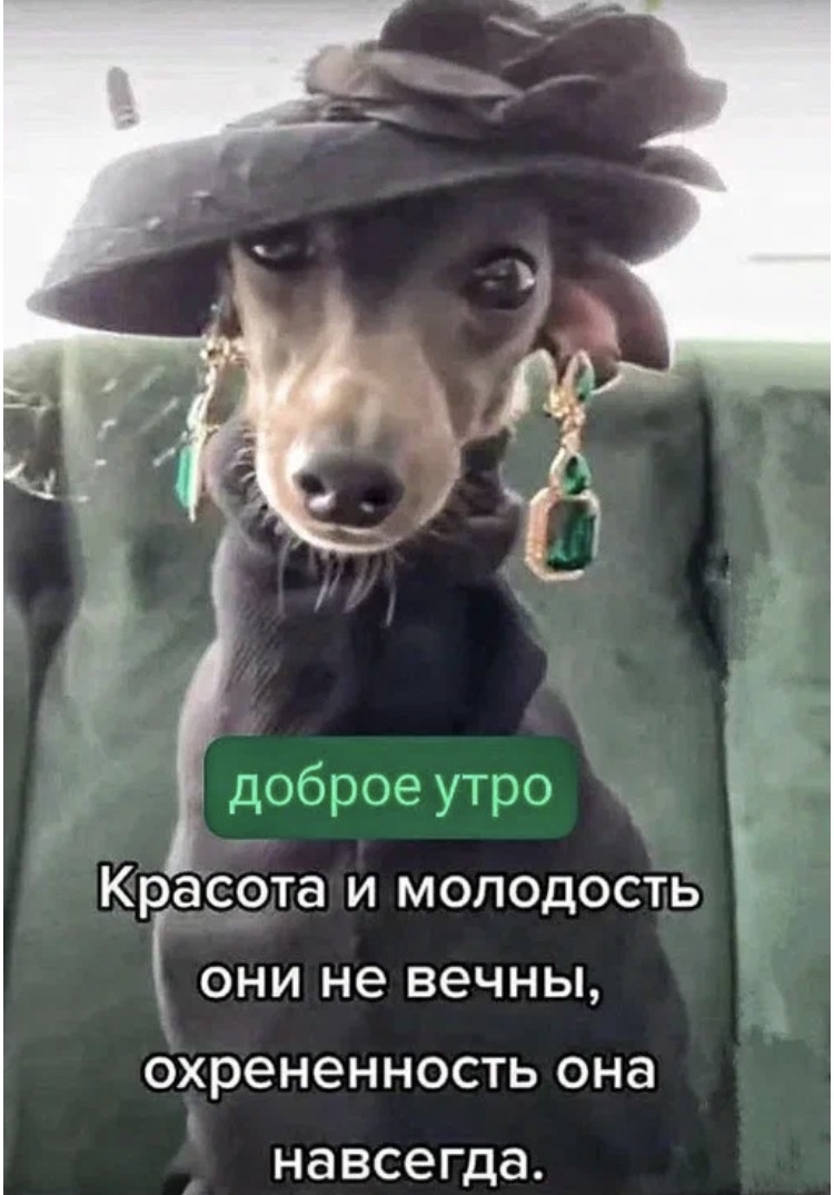 https://upforme.ru/uploads/0019/3c/8c/3163/420604.jpg