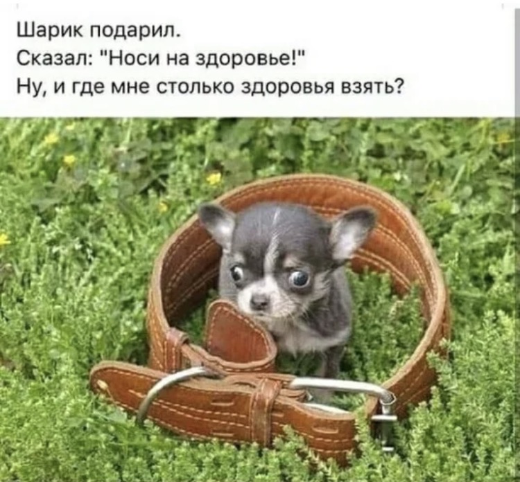 https://upforme.ru/uploads/0019/3c/8c/3163/511354.jpg