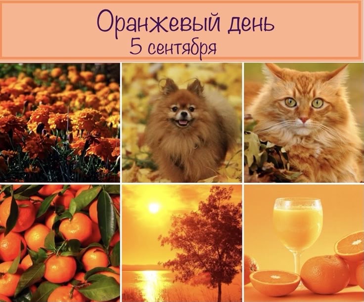 https://upforme.ru/uploads/0019/3c/8c/3163/563539.jpg