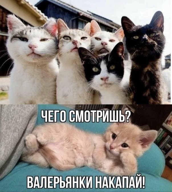 https://upforme.ru/uploads/0019/3c/8c/3163/765086.jpg