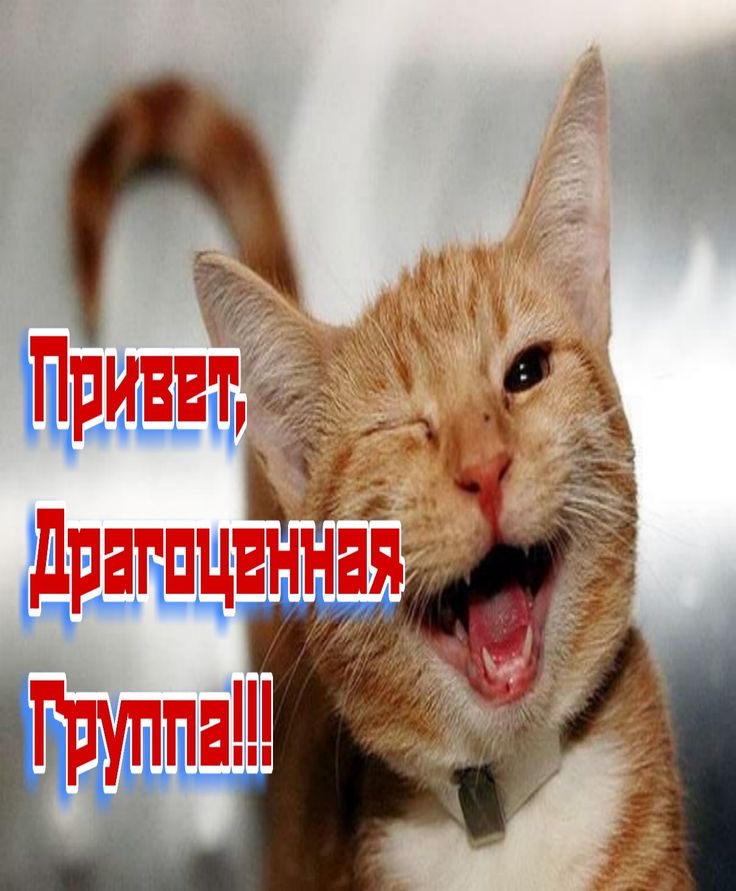https://upforme.ru/uploads/0019/3c/8c/3163/800288.jpg