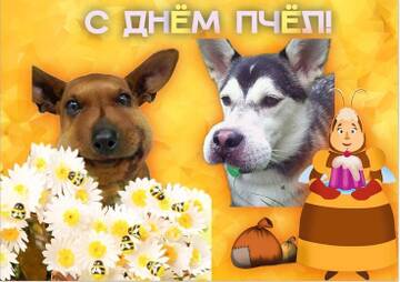 https://upforme.ru/uploads/0019/3c/8c/3163/t204655.jpg