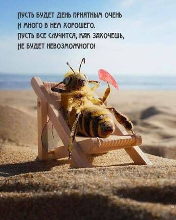 https://upforme.ru/uploads/0019/3c/8c/3163/t291825.jpg