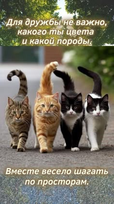 https://upforme.ru/uploads/0019/3c/8c/32/327075.jpg