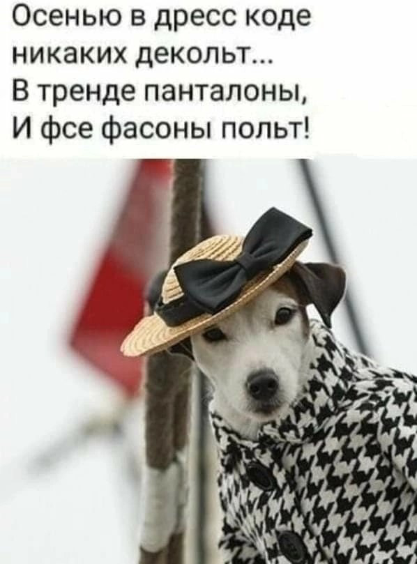 https://upforme.ru/uploads/0019/3c/8c/39/740852.png