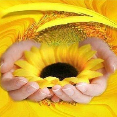https://upforme.ru/uploads/0019/3c/8c/513/311472.jpg