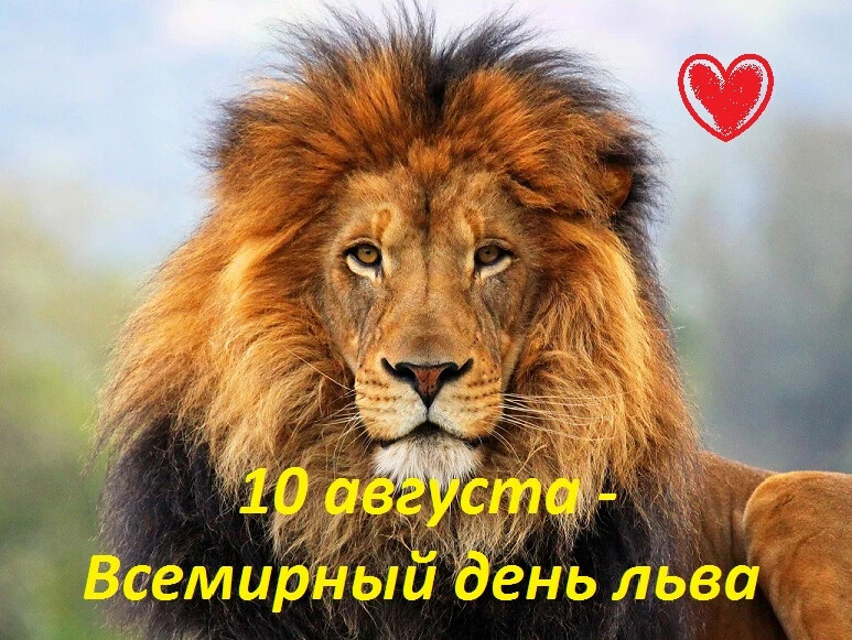 https://upforme.ru/uploads/0019/3c/8c/513/556892.jpg