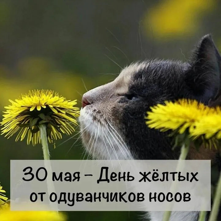 https://upforme.ru/uploads/0019/3c/8c/586/163666.webp