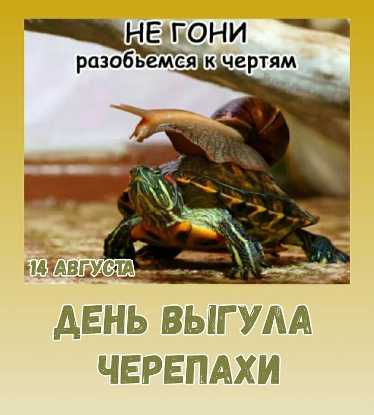 https://upforme.ru/uploads/0019/3c/8c/586/438270.jpg