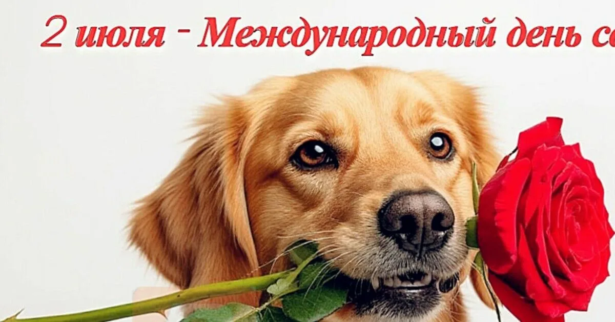 https://upforme.ru/uploads/0019/3c/8c/586/439857.webp
