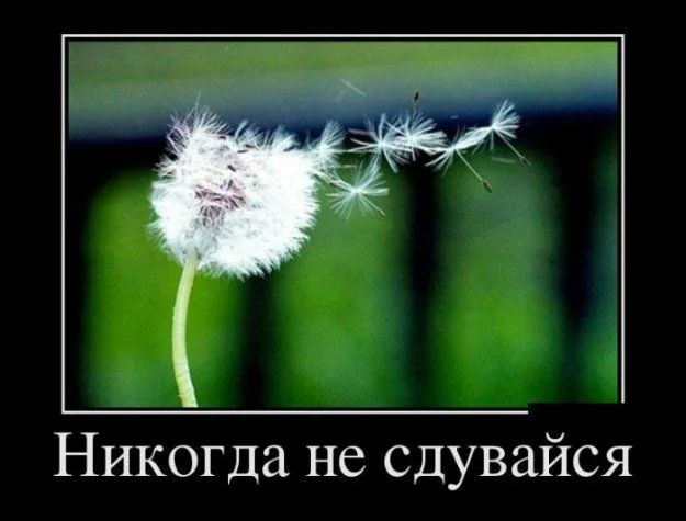 https://upforme.ru/uploads/0019/3c/8c/586/699889.webp