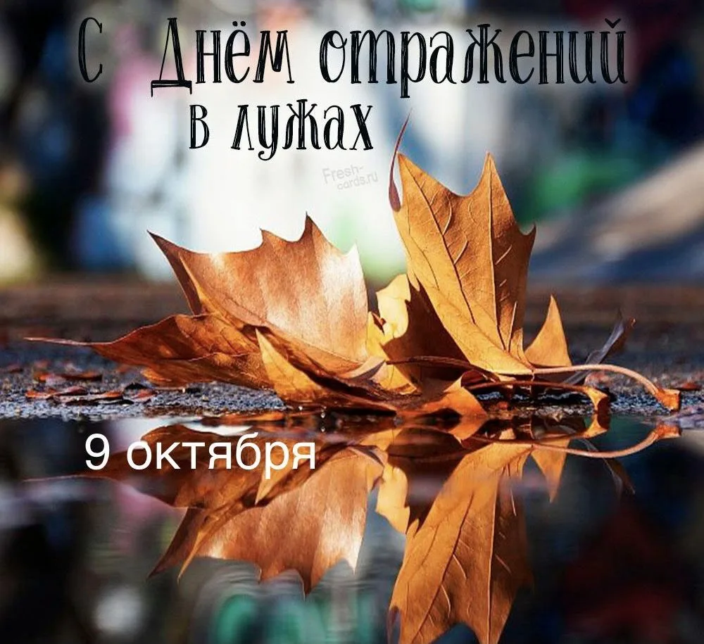 gallery gallery