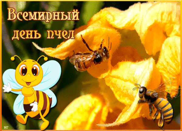 https://upforme.ru/uploads/0019/3c/8c/586/914268.gif