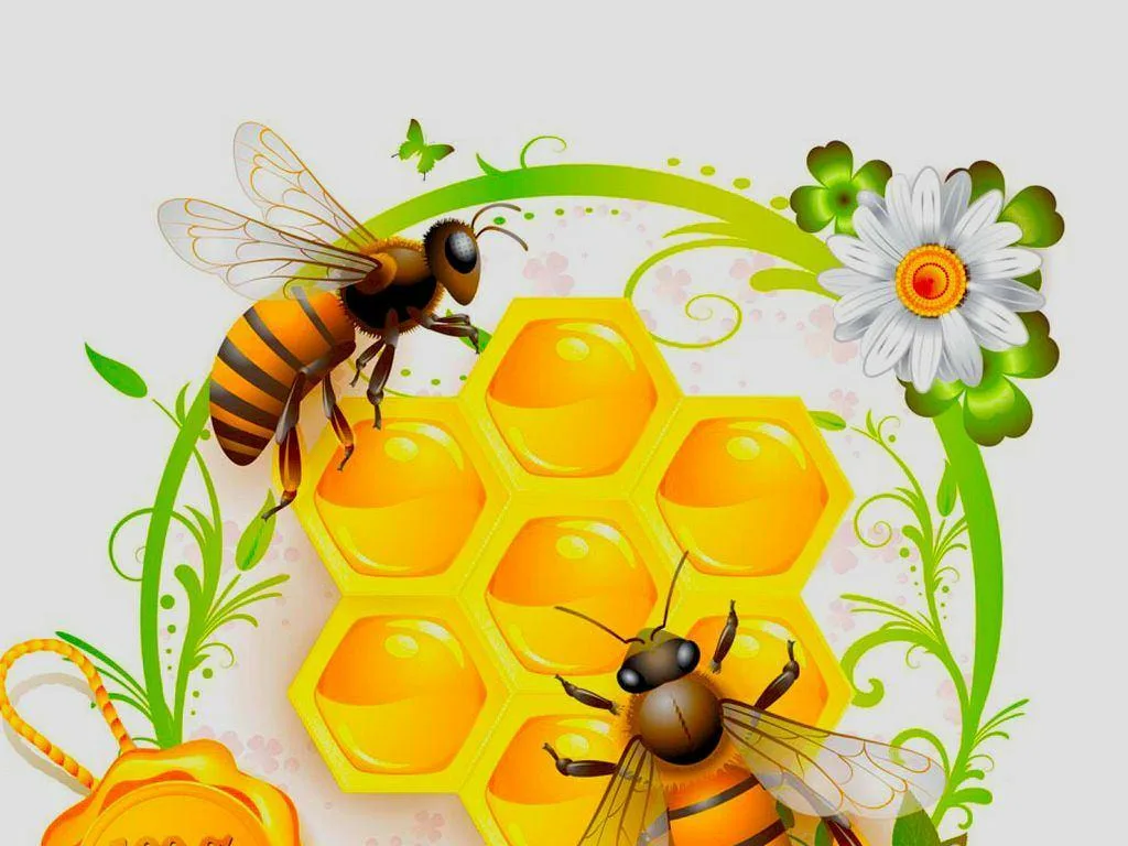 https://upforme.ru/uploads/0019/3c/8c/586/955757.webp