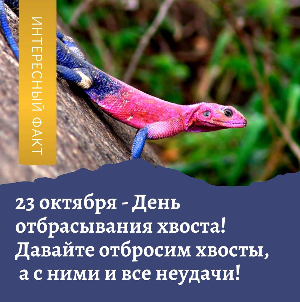 https://upforme.ru/uploads/0019/3c/8c/594/928196.jpg