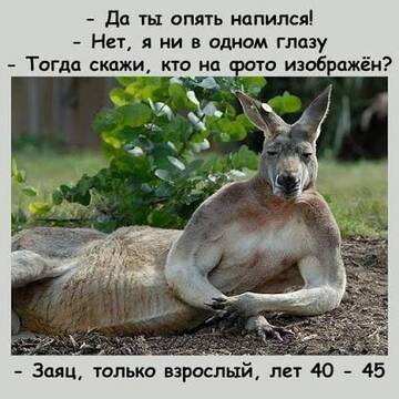 https://upforme.ru/uploads/0019/3c/8c/638/t281697.jpg