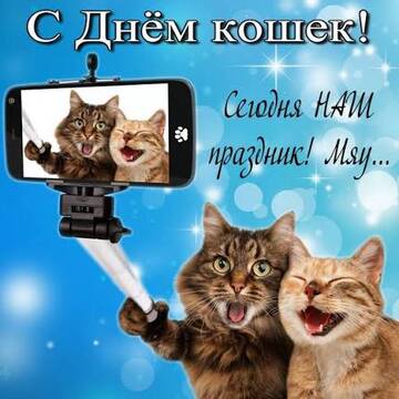https://upforme.ru/uploads/0019/3c/8c/638/t395317.jpg