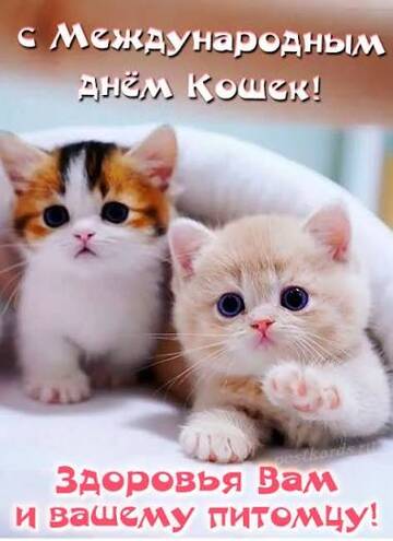 https://upforme.ru/uploads/0019/3c/8c/638/t892093.jpg