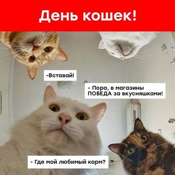 https://upforme.ru/uploads/0019/3c/8c/638/t991032.jpg