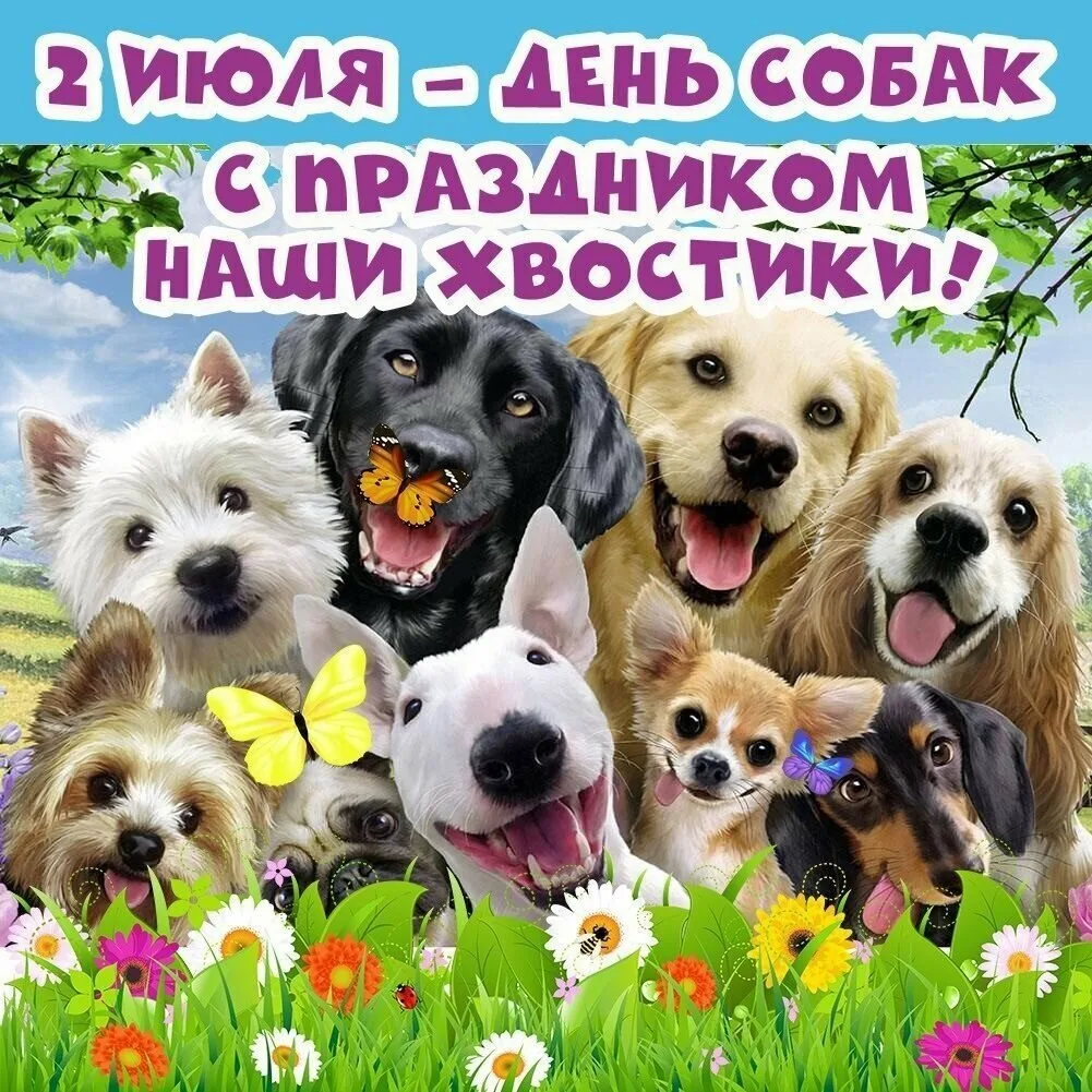 https://upforme.ru/uploads/0019/3c/8c/707/267750.webp