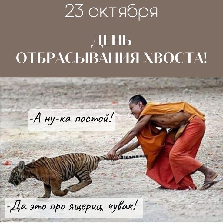 https://upforme.ru/uploads/0019/3c/8c/707/550134.jpg