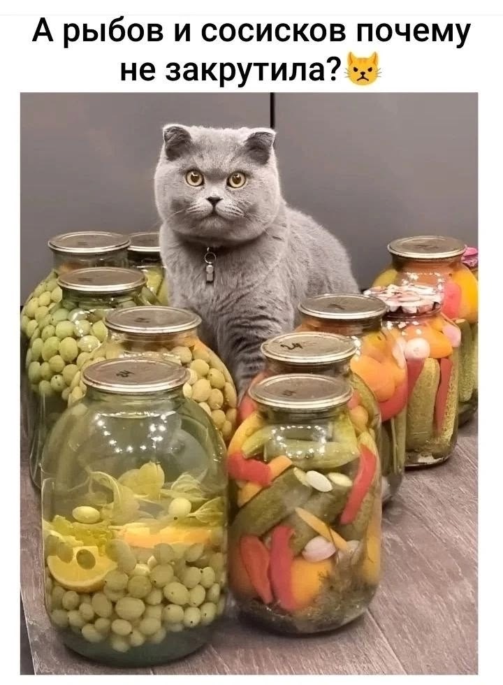 https://upforme.ru/uploads/0019/3c/8c/707/851467.jpg