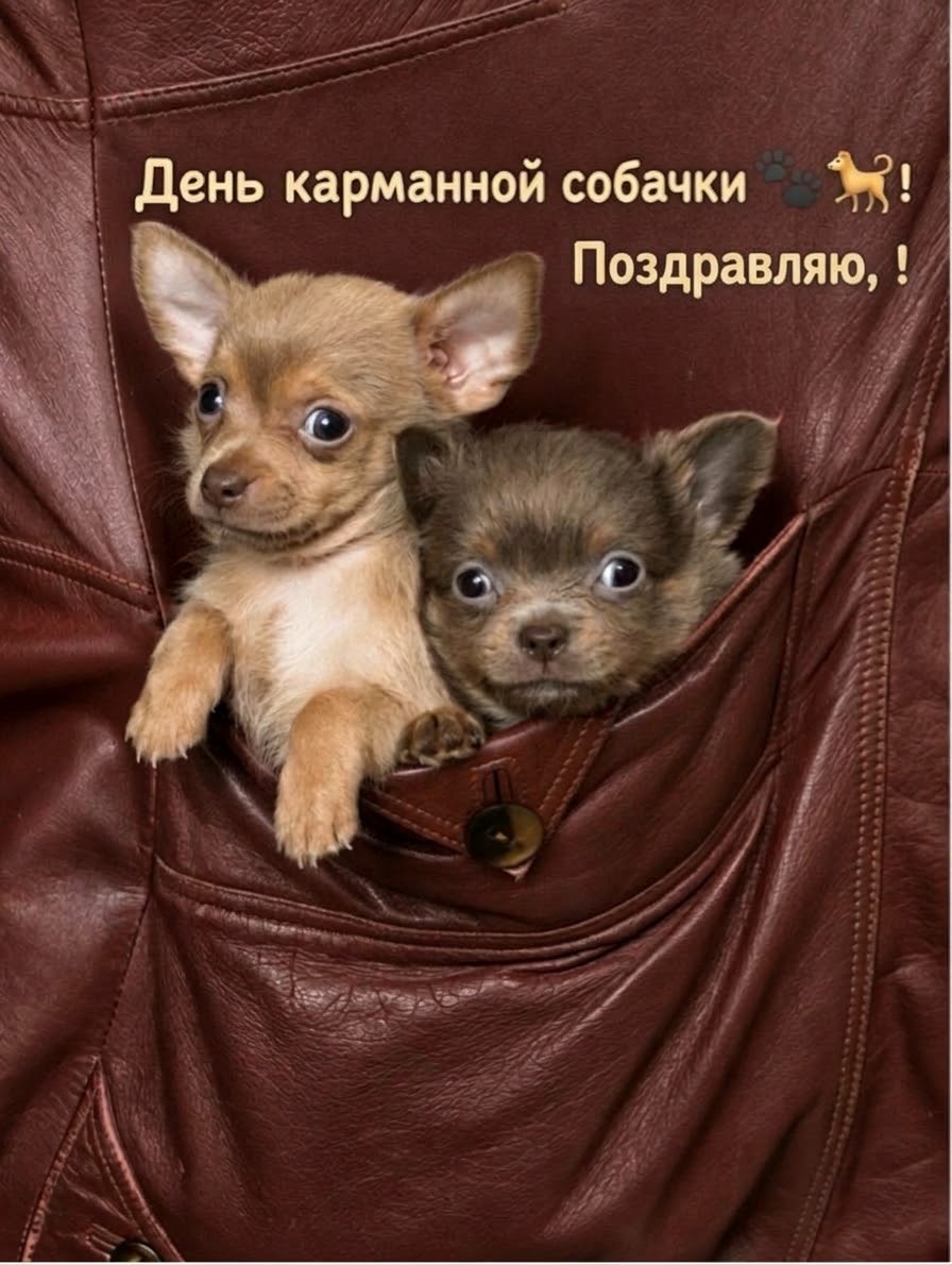 https://upforme.ru/uploads/0019/3c/8c/707/909400.jpg