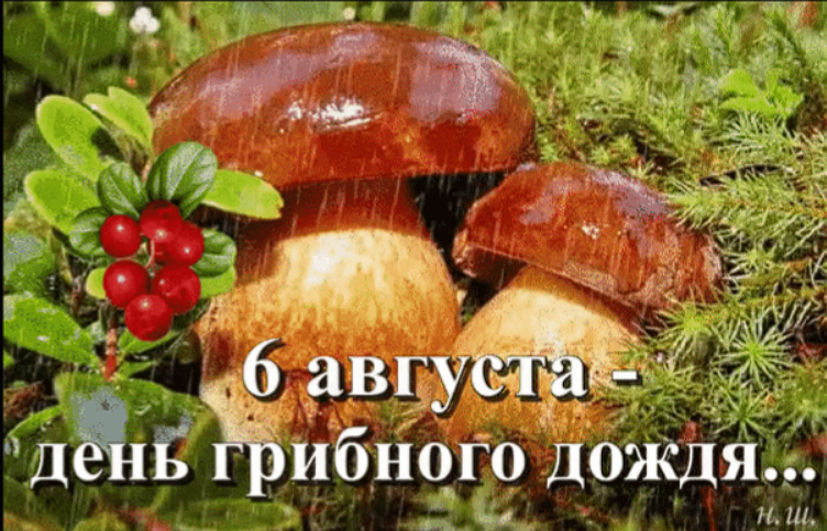https://upforme.ru/uploads/0019/3c/8c/7134/116593.png