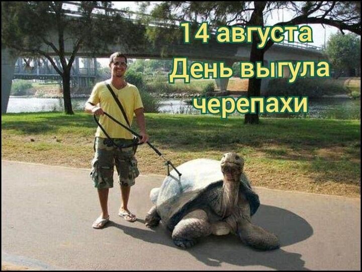 https://upforme.ru/uploads/0019/3c/8c/7134/202354.jpg
