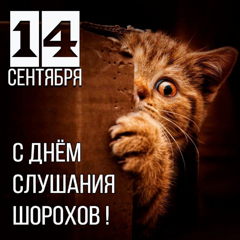 https://upforme.ru/uploads/0019/3c/8c/7134/28632.jpg