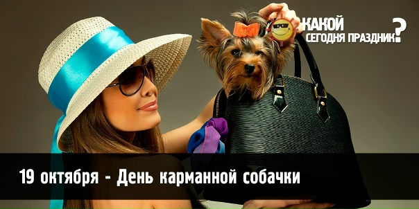 https://upforme.ru/uploads/0019/3c/8c/7134/521859.jpg