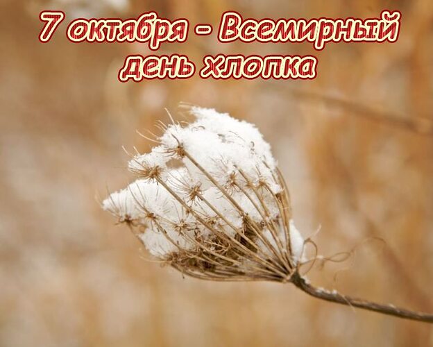 https://upforme.ru/uploads/0019/3c/8c/7134/676478.jpg