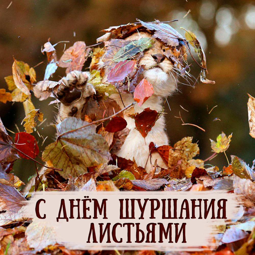 https://upforme.ru/uploads/0019/3c/8c/7134/712383.jpg