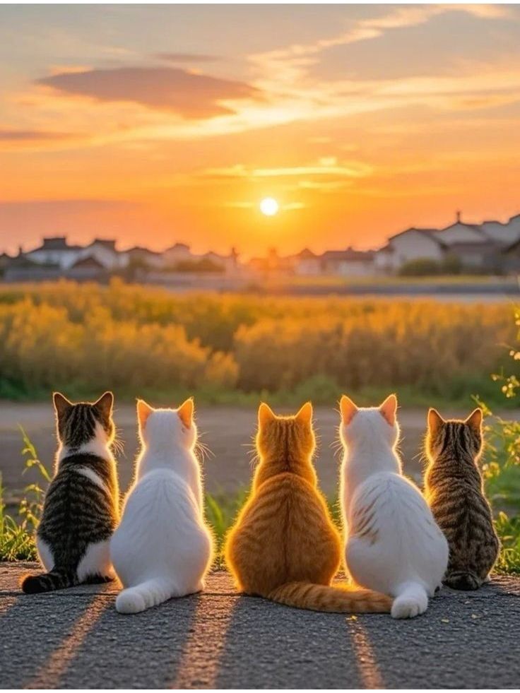 https://upforme.ru/uploads/0019/3c/8c/7178/262891.jpg