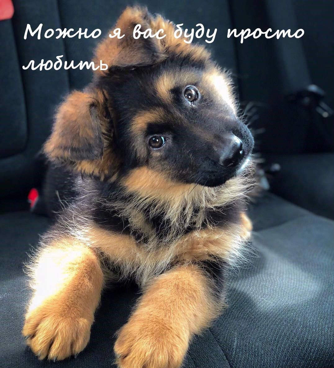 https://upforme.ru/uploads/0019/3c/8c/7178/307753.jpg