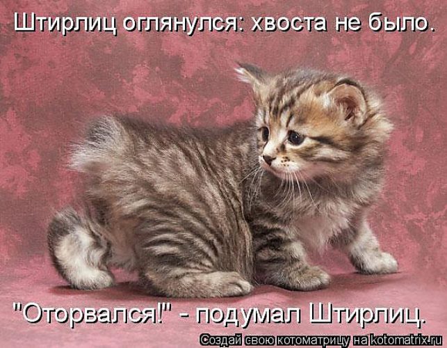 https://upforme.ru/uploads/0019/3c/8c/7178/543392.jpg